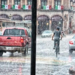 flood insurance houston