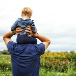 life insurance banner